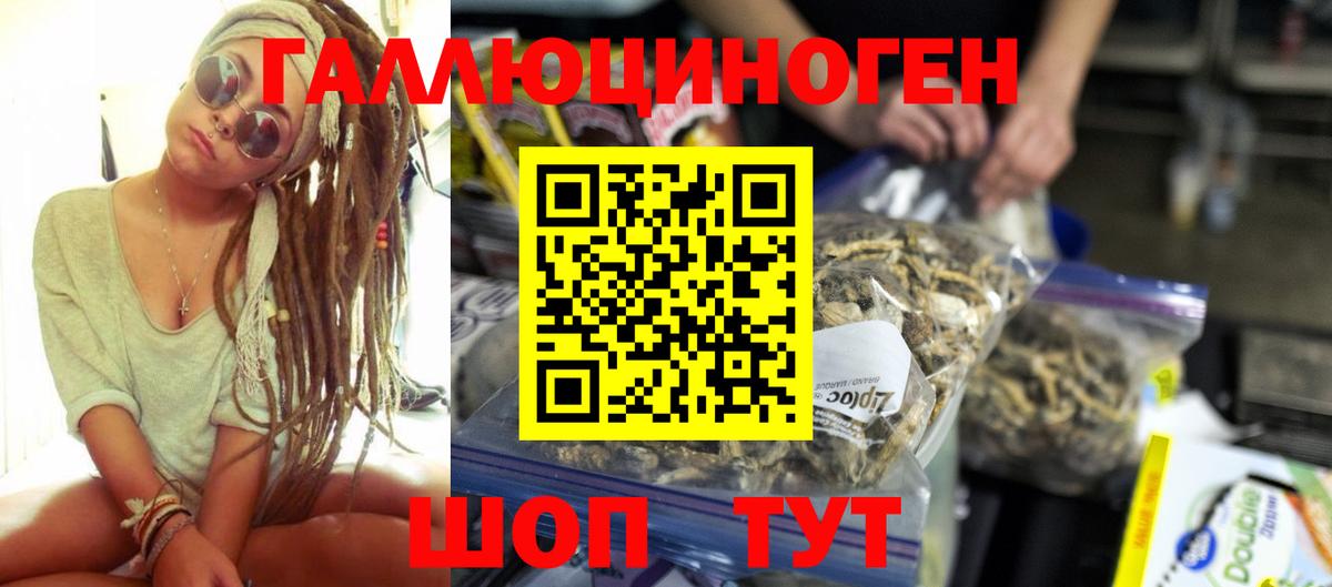 Галлюциногенные грибы Magic Shrooms Кашира